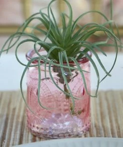 Best reviews of 🔔 Kate Aspen Pink Glass Tea Light Holder - Set Of Four ⌛